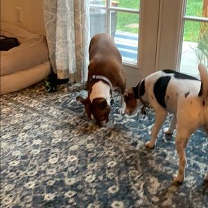 Meet your Posher, Wesley